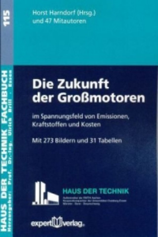 Die Zukunft der Großmotoren