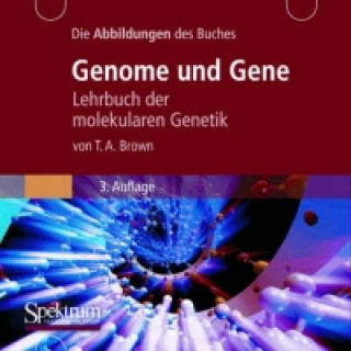 Genome und Gene, Die Abbildungen des Buches, 1 CD-ROM