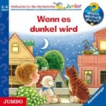 Wenn es dunkel wird, 1 Audio-CD