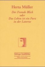 Der Fremde Blick oder Das Leben ist ein Furz in der Laterne