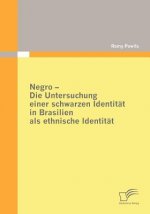 Negro - Die Untersuchung einer schwarzen Identitat in Brasilien als ethnische Identitat