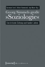 Georg Simmels große »Soziologie«