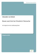 Raum und Zeit bei Friedrich Nietzsche