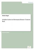 Schuler-Leben in Hermann Hesses 'Unterm Rad'