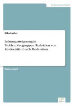 Leistungssteigerung in Problemloesegruppen