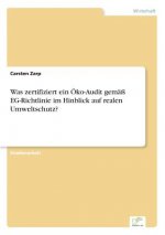 Was zertifiziert ein OEko-Audit gemass EG-Richtlinie im Hinblick auf realen Umweltschutz?