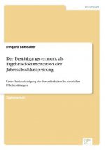 Bestatigungsvermerk als Ergebnisdokumentation der Jahresabschlussprufung