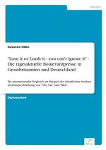 Love it or Loath it - you can't ignore it - Die tagesaktuelle Boulevardpresse in Grossbritannien und Deutschland