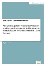 Anwendung psychodynamischer Ansatze zur Untersuchung von Gewaltbereitschaft am Subjekt des flexiblen Menschen