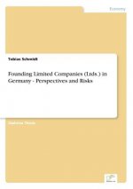Founding Limited Companies (Ltds.) in Germany - Perspectives and Risks
