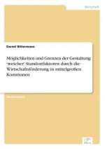 Moeglichkeiten und Grenzen der Gestaltung 'weicher' Standortfaktoren durch die Wirtschaftsfoerderung in mittelgrossen Kommunen