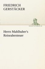 Herrn Mahlhuber's Reiseabenteuer
