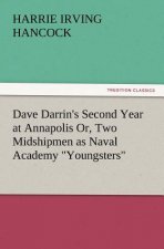 Dave Darrin's Second Year at Annapolis Or, Two Midshipmen as Naval Academy Youngsters