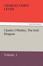 Charles O'Malley, the Irish Dragoon