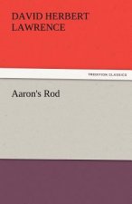 Aaron's Rod