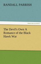 Devil's Own a Romance of the Black Hawk War