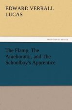 Flamp, the Ameliorator, and the Schoolboy's Apprentice