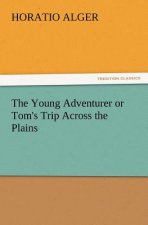 Young Adventurer or Tom's Trip Across the Plains