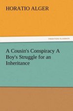 Cousin's Conspiracy A Boy's Struggle for an Inheritance