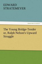 Young Bridge-Tender Or, Ralph Nelson's Upward Struggle