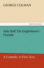 John Bull the Englishman's Fireside