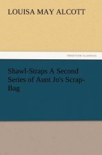 Shawl-Straps a Second Series of Aunt Jo's Scrap-Bag