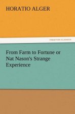 From Farm to Fortune or Nat Nason's Strange Experience