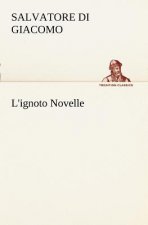 L'ignoto Novelle