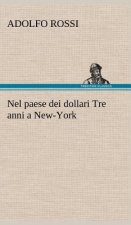 Nel paese dei dollari Tre anni a New-York