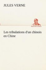 Les tribulations d'un chinois en Chine