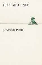 L'Ame de Pierre