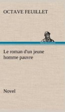 roman d'un jeune homme pauvre (Novel)