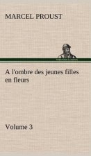 l'ombre des jeunes filles en fleurs - Volume 3