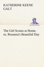 Girl Scouts at Home, or, Rosanna's Beautiful Day