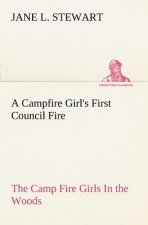 Campfire Girl's First Council Fire The Camp Fire Girls In the Woods