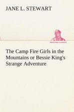 Camp Fire Girls in the Mountains or Bessie King's Strange Adventure