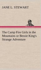 Camp Fire Girls in the Mountains or Bessie King's Strange Adventure