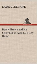 Bunny Brown and His Sister Sue at Aunt Lu's City Home