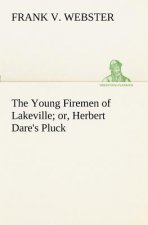 Young Firemen of Lakeville or, Herbert Dare's Pluck