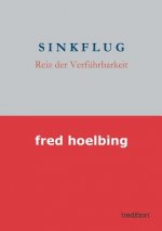 Sinkflug 1