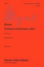 Fantasie und Sonate c-Moll