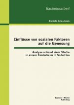 Einflusse von sozialen Faktoren auf die Genesung
