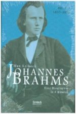 Johannes Brahms. Eine Biographie in vier Bänden. Band 1. Bd.1