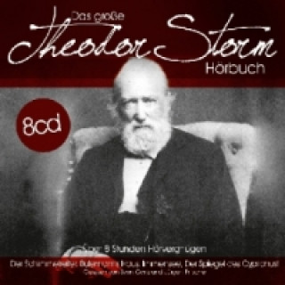 Das große Theodor Storm Hörbuch, 8 Audio-CDs