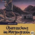 Überraschung im Morgengrauen, 1 MP3-CD