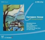 Das Glasperlenspiel, 5 Audio-CDs