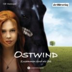 Ostwind - Zusammen sind wir frei, 1 Audio-CD