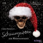 Schauergeschichten zur Weihnachtszeit, 2 Audio-CDs