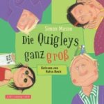 Die Quigleys 2: Die Quigleys ganz groß, 2 Audio-CD
