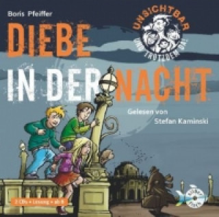 Unsichtbar und trotzdem da! - Diebe in der Nacht, 2 Audio-CDs